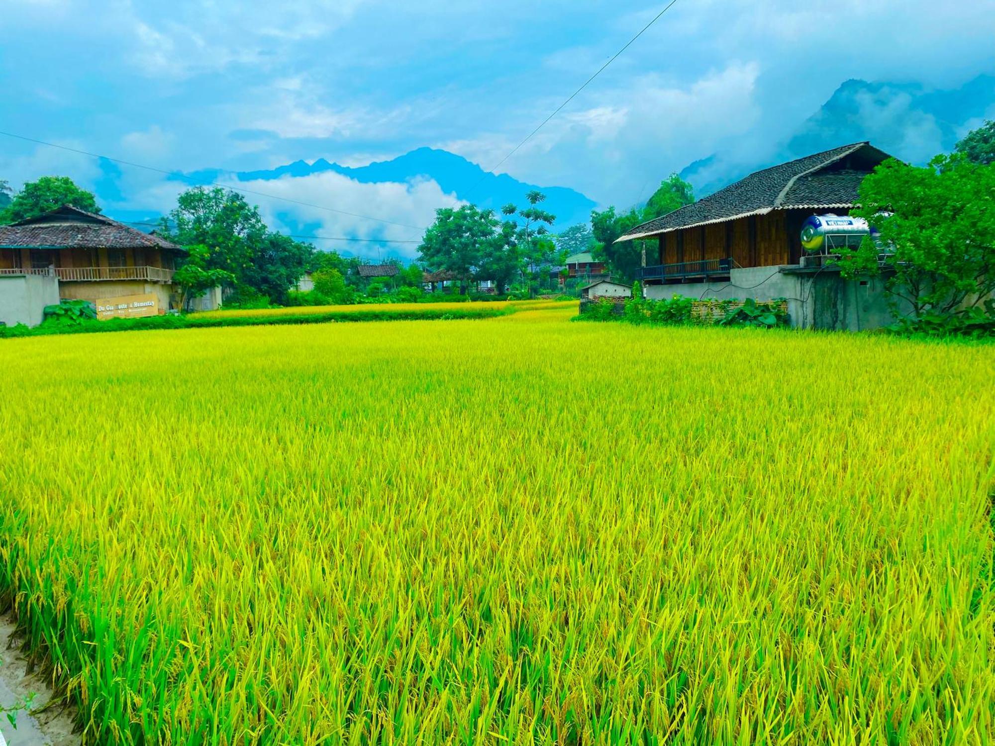 Duy Homestay Du Gia Làng Cac Exterior foto